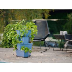Anzuchtsgefäß Paul Potato blau 4er Set Anzuchtsgefäß Paul Potato blau 4er Set