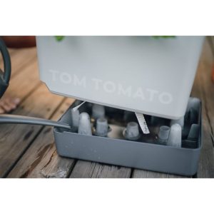 Anzuchtsgefäß Tom Tomato hellgrau Anzuchtsgefäß Tom Tomato hellgrau