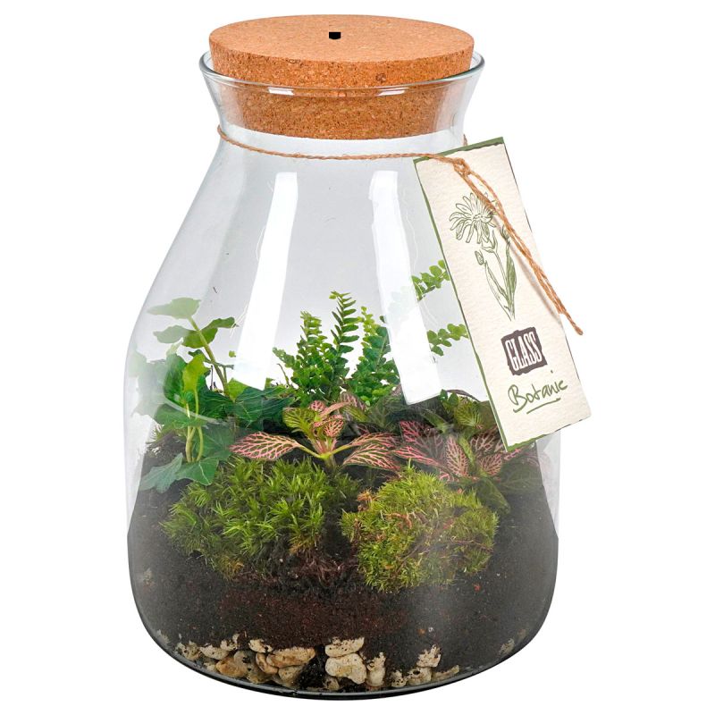 Plantiflor Bepflanztes Glas mit LED-Beleuchtung 28 x 19 cm