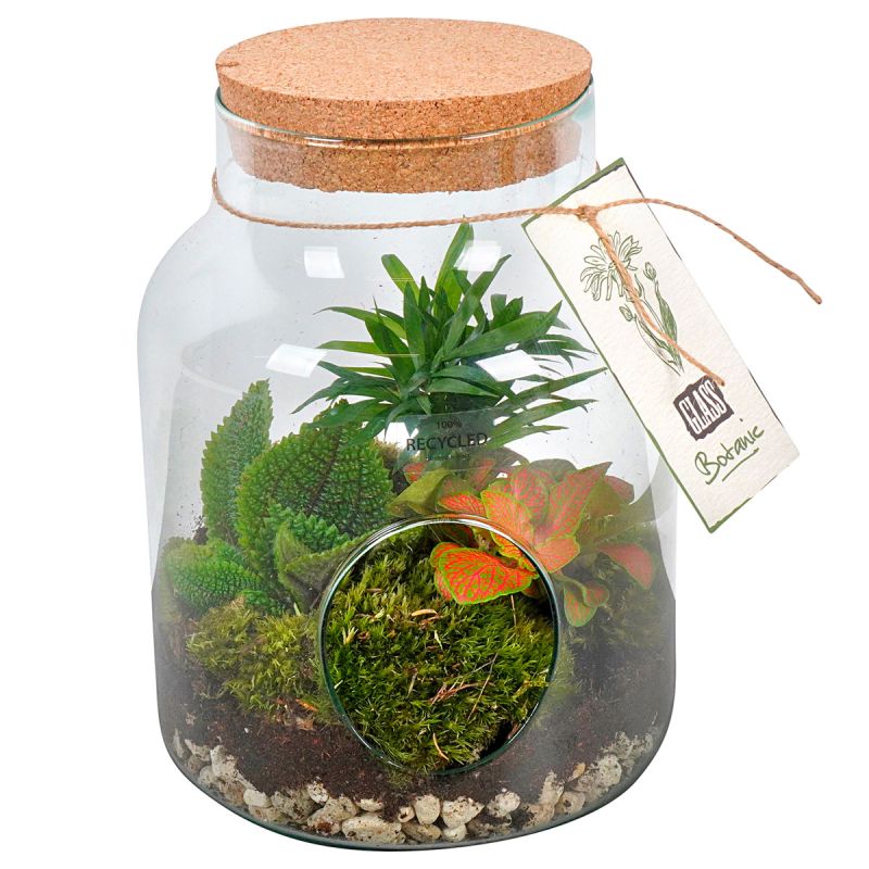 Plantiflor Bepflanztes Glas mit Deckel und Öffnung vorne 28 x 19 cm