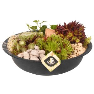 Plantiflor Bepflanzte Zinkschale Ø 29 cm Plantiflor Bepflanzte Zinkschale Ø 29 cm