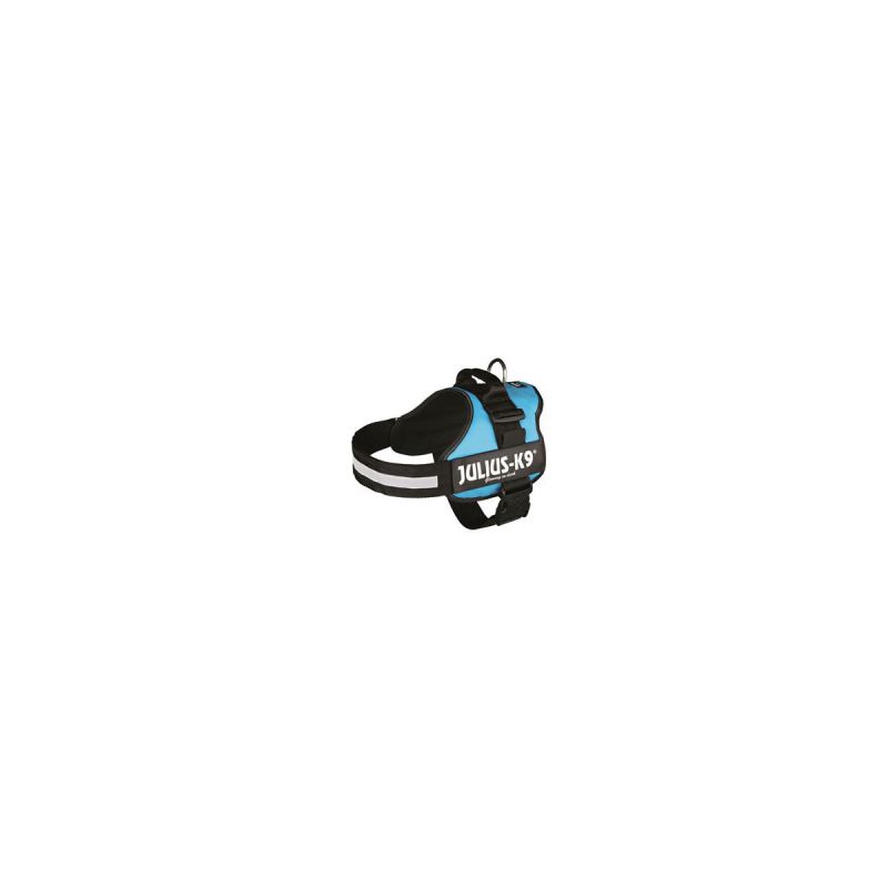 Julius Powergeschirr aquamarin 2/L-XL 71-96 cm
