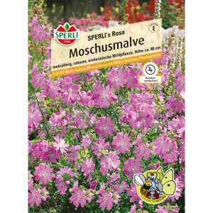 Sperli Malve ngs Rosa Moschusmalve Sperli Malve ngs Rosa Moschusmalve