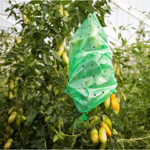 Windhager Tomaten-Folien-Schlauch Strong 10×0,75 m Windhager Tomaten-Folien-Schlauch Strong 10×0,75 m