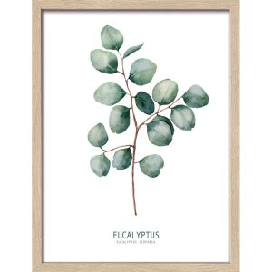 Framed-Art AN1306B25 30 x 40 33 x 43 Framed-Art AN1306B25 30 x 40 33 x 43