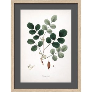 Framed-Art AN1310B25 30 x 40 33 x 43 Framed-Art AN1310B25 30 x 40 33 x 43