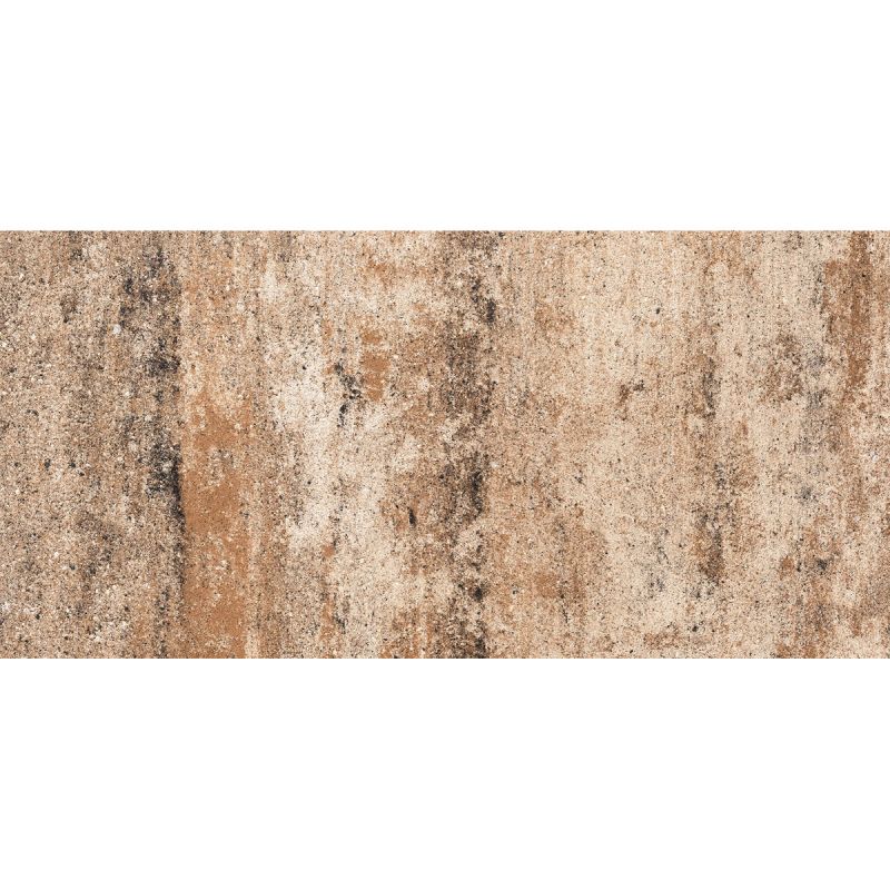 Terrassenplatte No1 Nature muschelkalk 80 x 40 x 4 cm