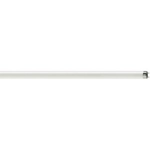 Müller Licht Leuchtstoffröhre T8 15W transparent Müller Licht Leuchtstoffröhre T8 15W transparent
