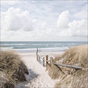Glas-Art Way To Beach 50 x 50 Glasbild Glas-Art Way To Beach 50 x 50 Glasbild