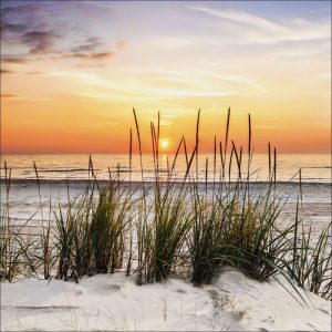 Canvas-Art Lonely Dune 30 x 30 cm Canvas-Art Lonely Dune 30 x 30 cm