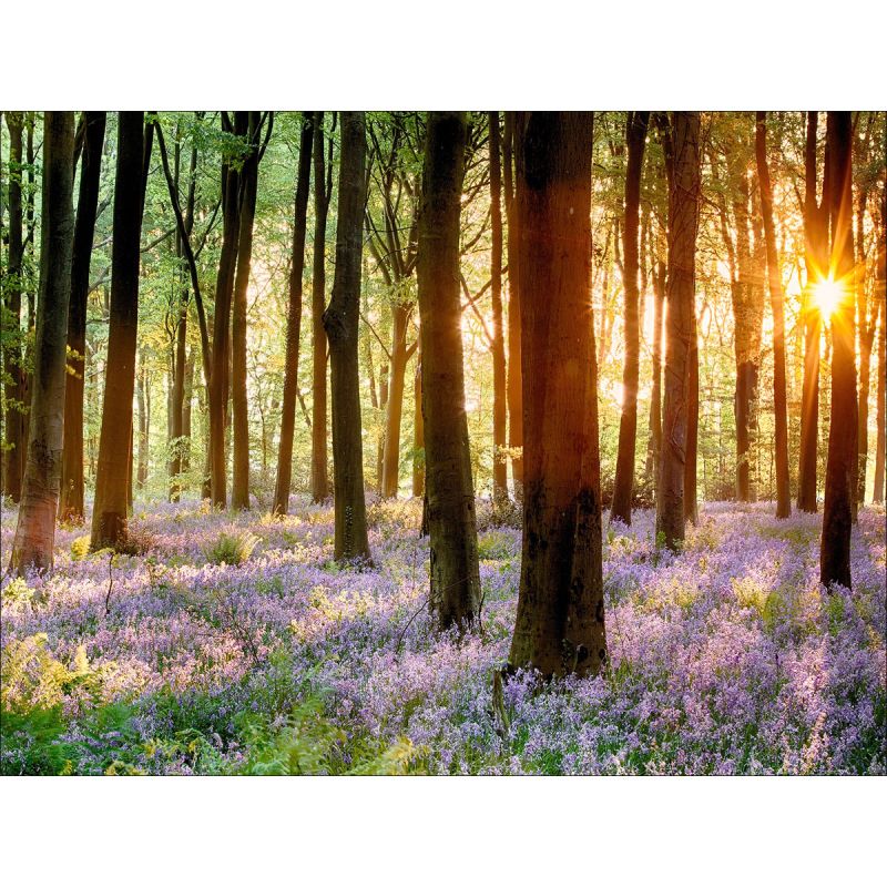 Canvas-Art Forest 90 x 120 cm