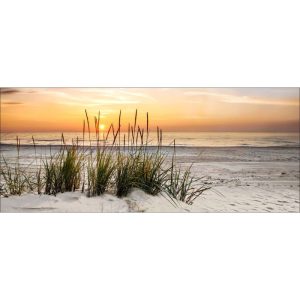 Decopanel Lonely Dune 50 x 120 cm Decopanel Lonely Dune 50 x 120 cm