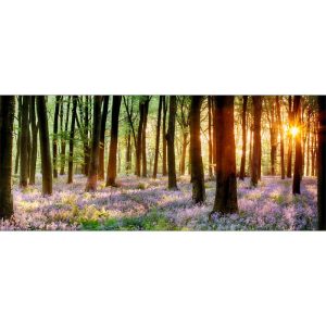 Decopanel Forest 50 x 120 cm Decopanel Forest 50 x 120 cm