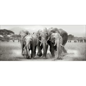Decopanel Elephant Herd 50 x 120 cm Decopanel Elephant Herd 50 x 120 cm