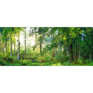 Decopanel Forest Harmony 50 x 120 cm Decopanel Forest Harmony 50 x 120 cm