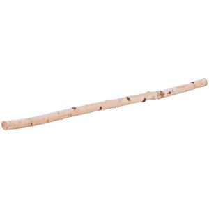 Birkenstamm 90 cm Durchmesser 2-4 cm Birkenstamm 90 cm Durchmesser 2-4 cm
