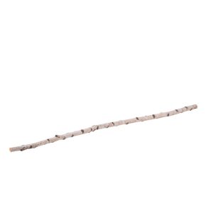 Birkenstamm 180 cm Durchmesser 2-4 cm Birkenstamm 180 cm Durchmesser 2-4 cm
