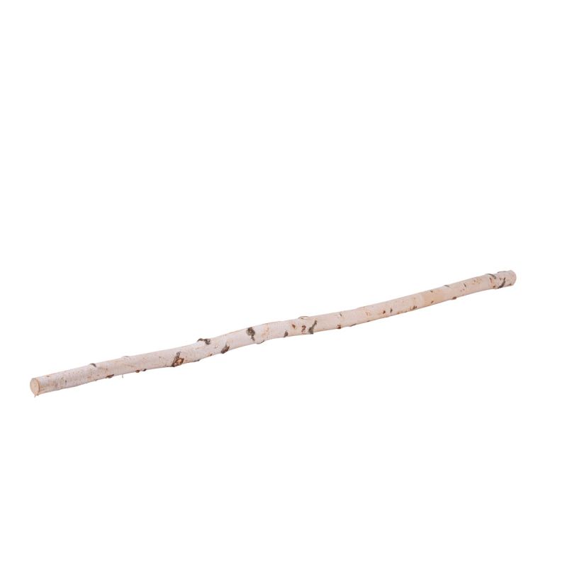 Birkenstamm Länge 180 cm Durchmesser 4-6 cm