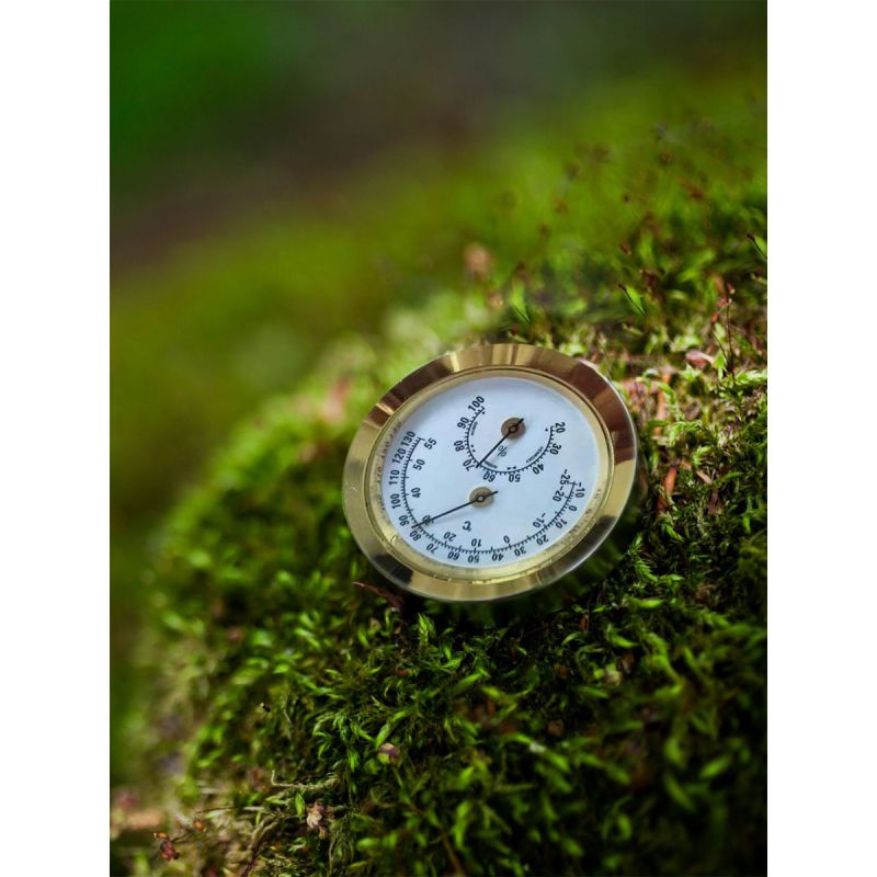 Vitavia Hygrometer Blister