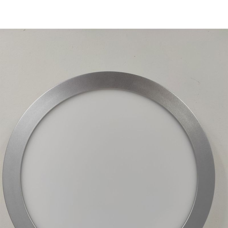 Paulmann LED-Panel Abia Durchmesser 30 cm silber