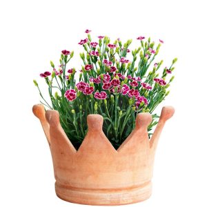Haveson Pflanzschale Krone klein Haveson Pflanzschale Krone klein