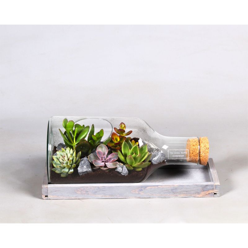 Plantiflor Green Bottle Flasche liegend mit Succulenten 38 cm lang