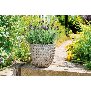 Haveson Pflanzgefäß Durchmesser 34 x 54 cm grau hochgeflochten Haveson Pflanzgefäß Durchmesser 34 x 54 cm grau hochgeflochten