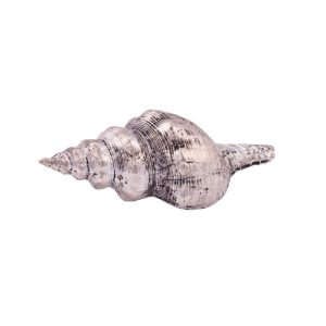 Deko-Muschel 12,5 x 5 x 4 cm silberfarben Deko-Muschel 12,5 x 5 x 4 cm silberfarben