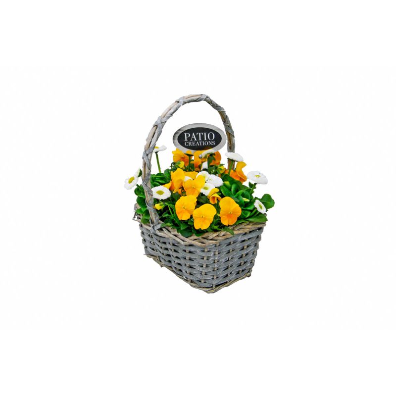 Plantiflor Bepflanzte Gefäße