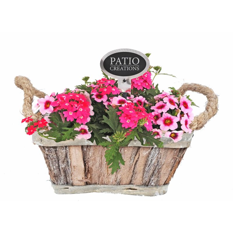 Plantiflor Bepflanztes Gefäß Rindenkorb 20 x 14 cm