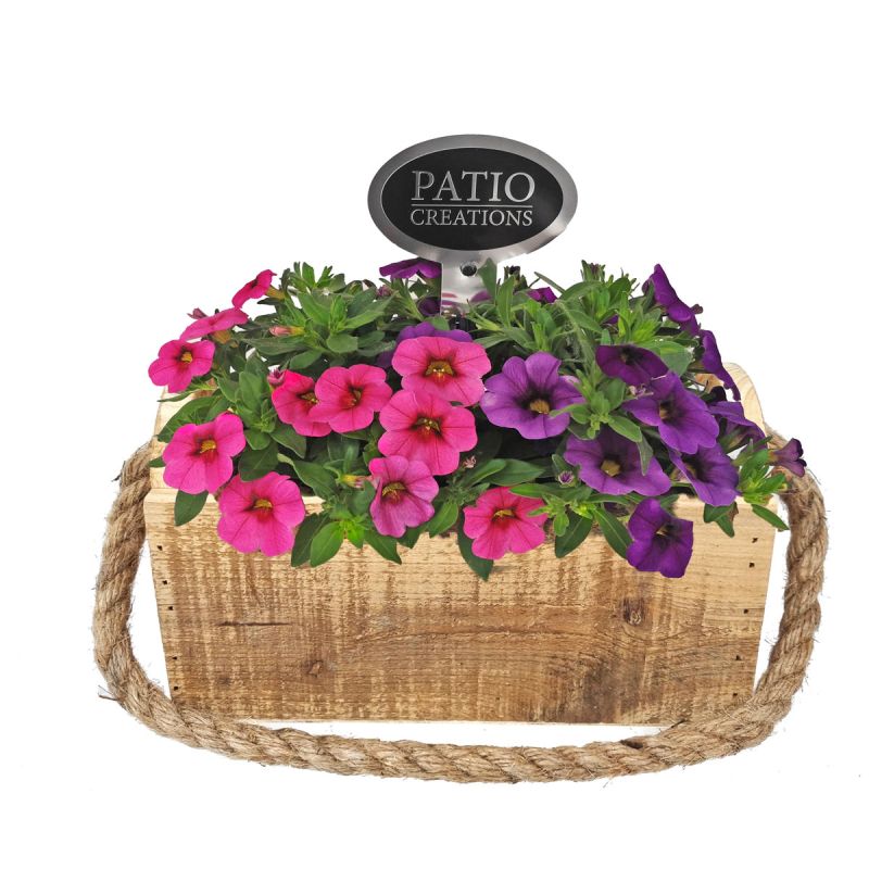 Plantiflor Bepflanztes Gefäß Holzkasten geflammt 21 x 12 cm