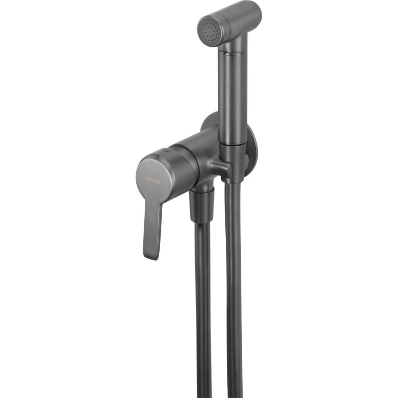 deante Unterputz-Bidetarmatur ARNIKA titanium