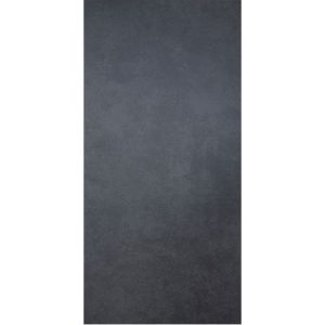 Feinsteinzeug Trend anthrazit 30,5 x 61 x 0,82 cm Feinsteinzeug Trend anthrazit 30,5 x 61 x 0,82 cm