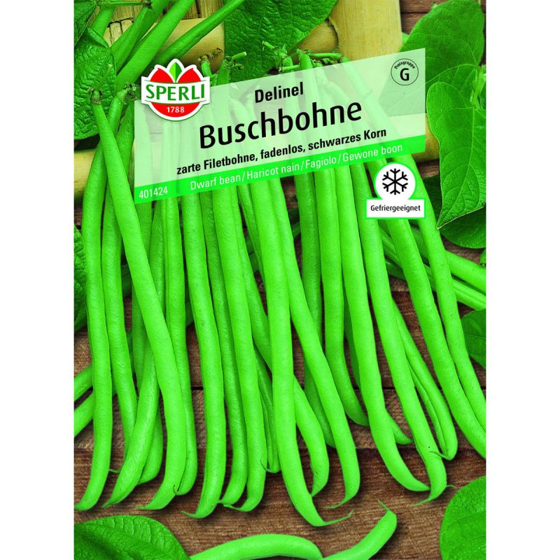 Buschbohne Delinel