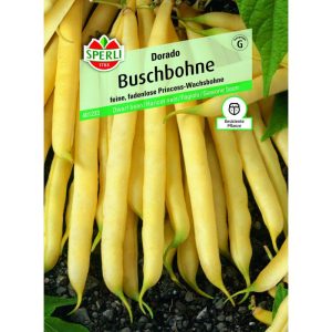 Buschbohne Dorado Buschbohne Dorado