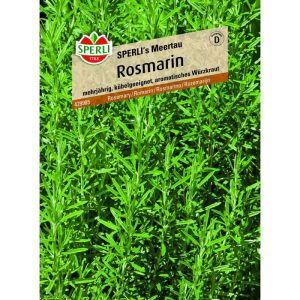 Rosmarin SPERLI´s Meertau Rosmarin SPERLI´s Meertau