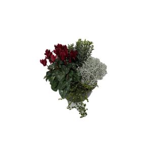 Plantiflor Schale mit Herbstpflanzenmix Durchmesser 23 cm Plantiflor Schale mit Herbstpflanzenmix Durchmesser 23 cm