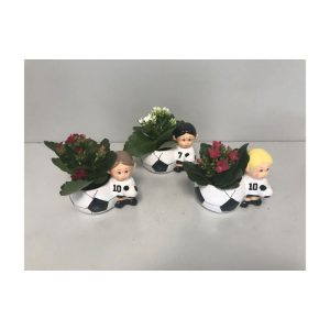 Plantiflor Flammendes Käthchen EM Fußball Spieler verschiedene Farben/Motive Plantiflor Flammendes Käthchen EM Fußball Spieler verschiedene Farben/Motive