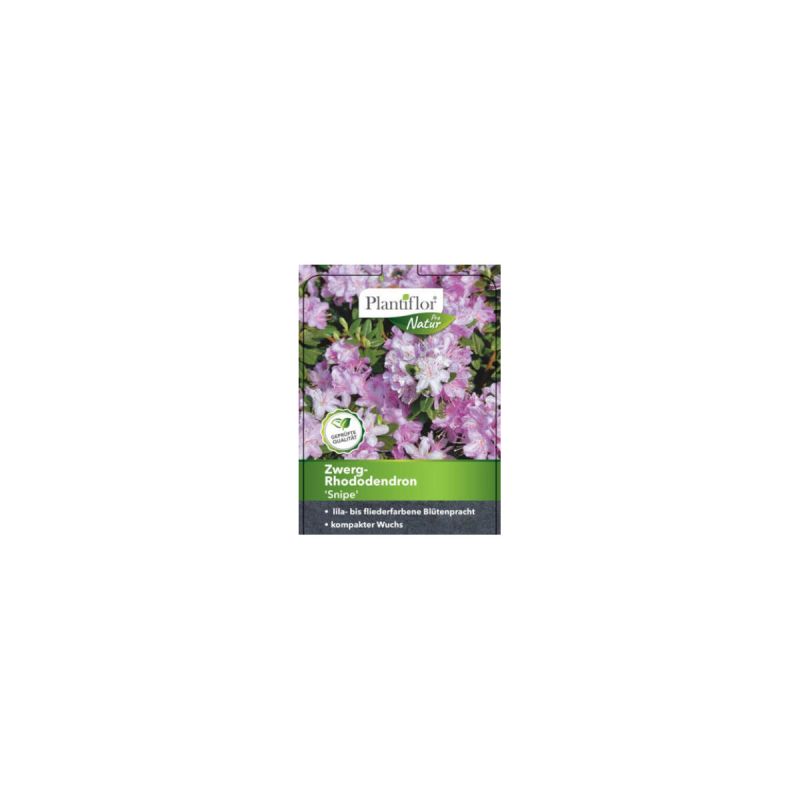 Plantiflor Zwerg-Alpenrose Snipe Topf Durchmesser 17 cm