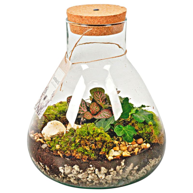 Plantiflor  Große Glasvase Bauchig ca 28 x 23 cm