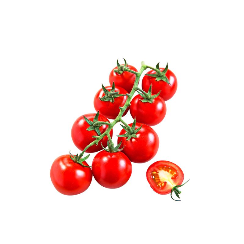 Plantiflor Cocktailtomate plastikfrei Topf Durchmesser 12 cm