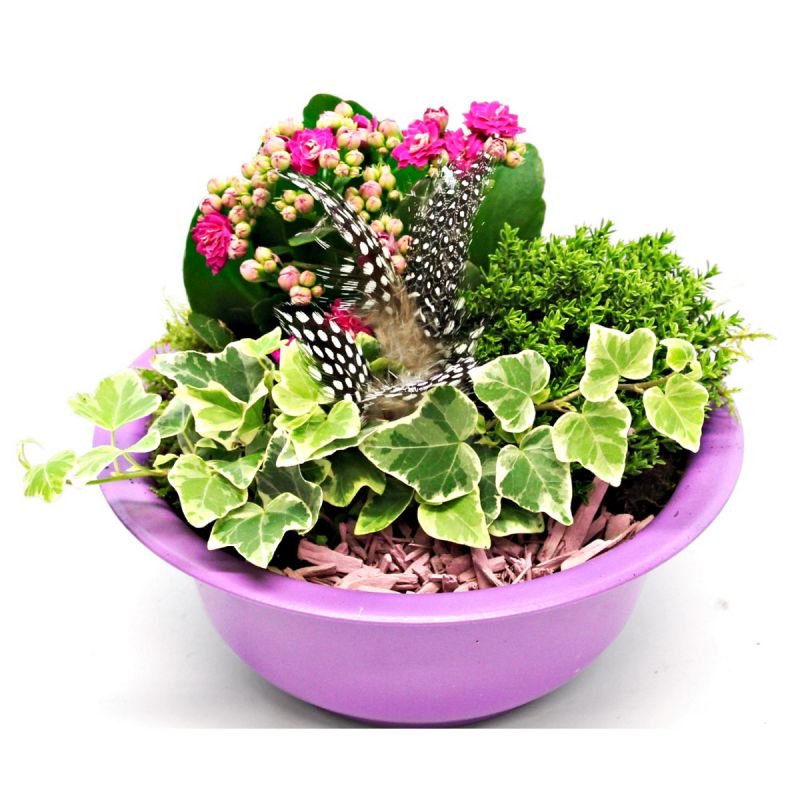 Plantiflor Bepflanzte Gefäße mit Oster-Deko