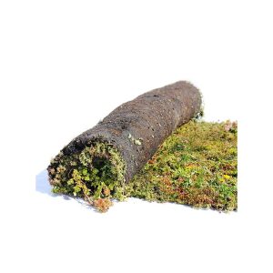 AboutGreen Gründachsystem Aromadach bis 10 Dachneigung 1 m² AboutGreen Gründachsystem Aromadach bis 10 Dachneigung 1 m²
