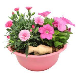 Plantiflor Bepflanzte Zinkschale Durchmesser 29 cm Plantiflor Bepflanzte Zinkschale Durchmesser 29 cm