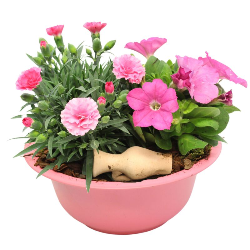 Plantiflor Bepflanzte Zinkschale Durchmesser 29 cm