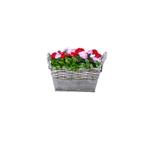 Plantiflor Zink-/Weidenkorb bepflanzt 19 x 12 cm Plantiflor Zink-/Weidenkorb bepflanzt 19 x 12 cm