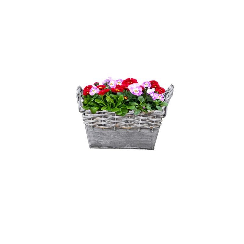 Plantiflor  Zink-/Weidenkorb bepflanzt 19 x 12 cm