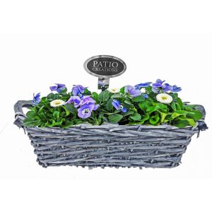 Plantiflor Bepflanzte Gefäße rechteckig Plantiflor Bepflanzte Gefäße rechteckig