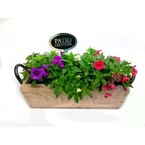 Plantiflor Bepflanztes Gefäß Kasten 32 x 14 cm Plantiflor Bepflanztes Gefäß Kasten 32 x 14 cm