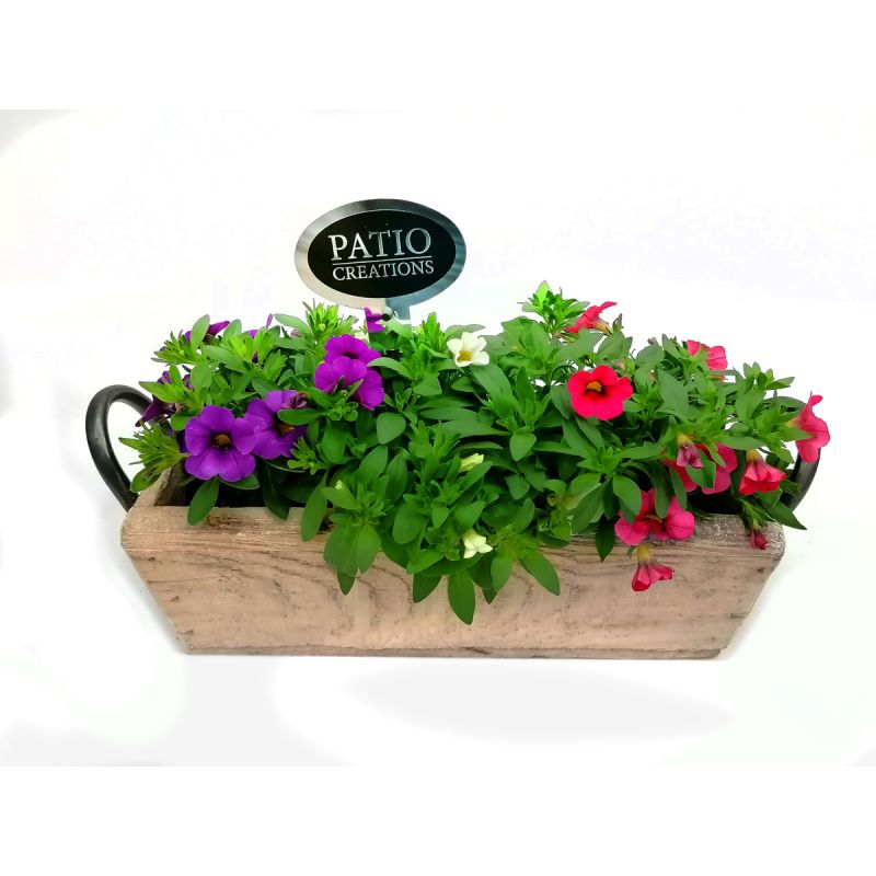 Plantiflor Bepflanztes Gefäß Kasten 32 x 14 cm
